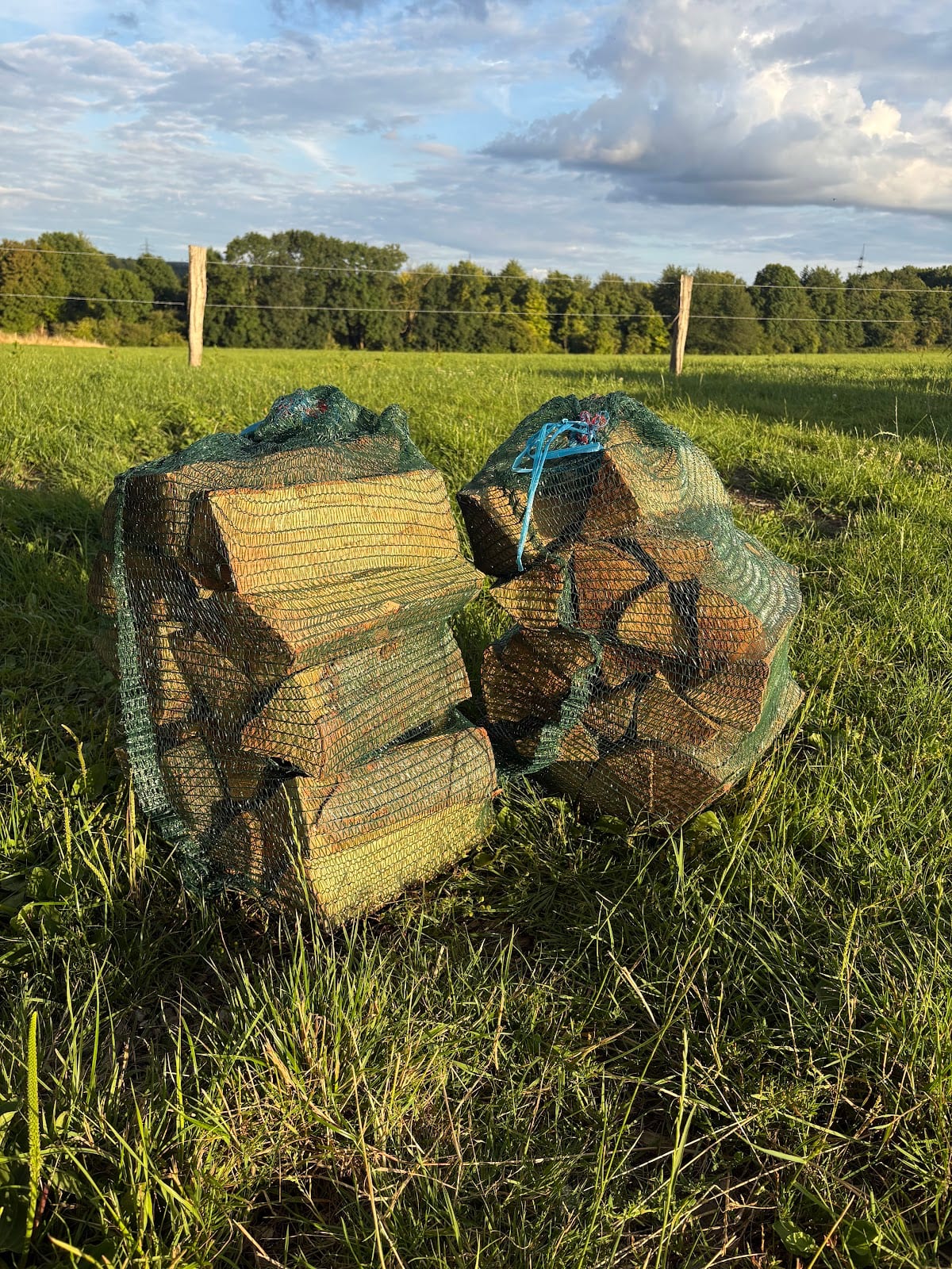 Zwei Netzsäcke Brennholz auf der Wiese