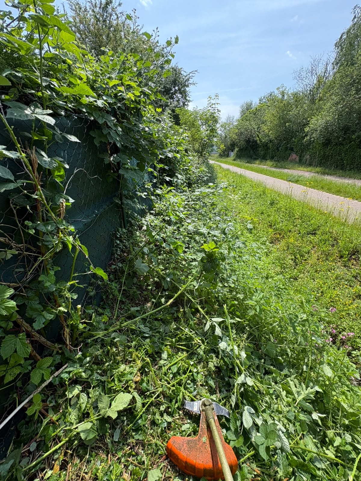 Zugewachsener Wegrand mit Freischneider im Einsatz